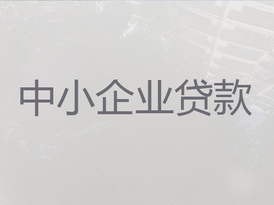 衡阳企业银行信用贷款